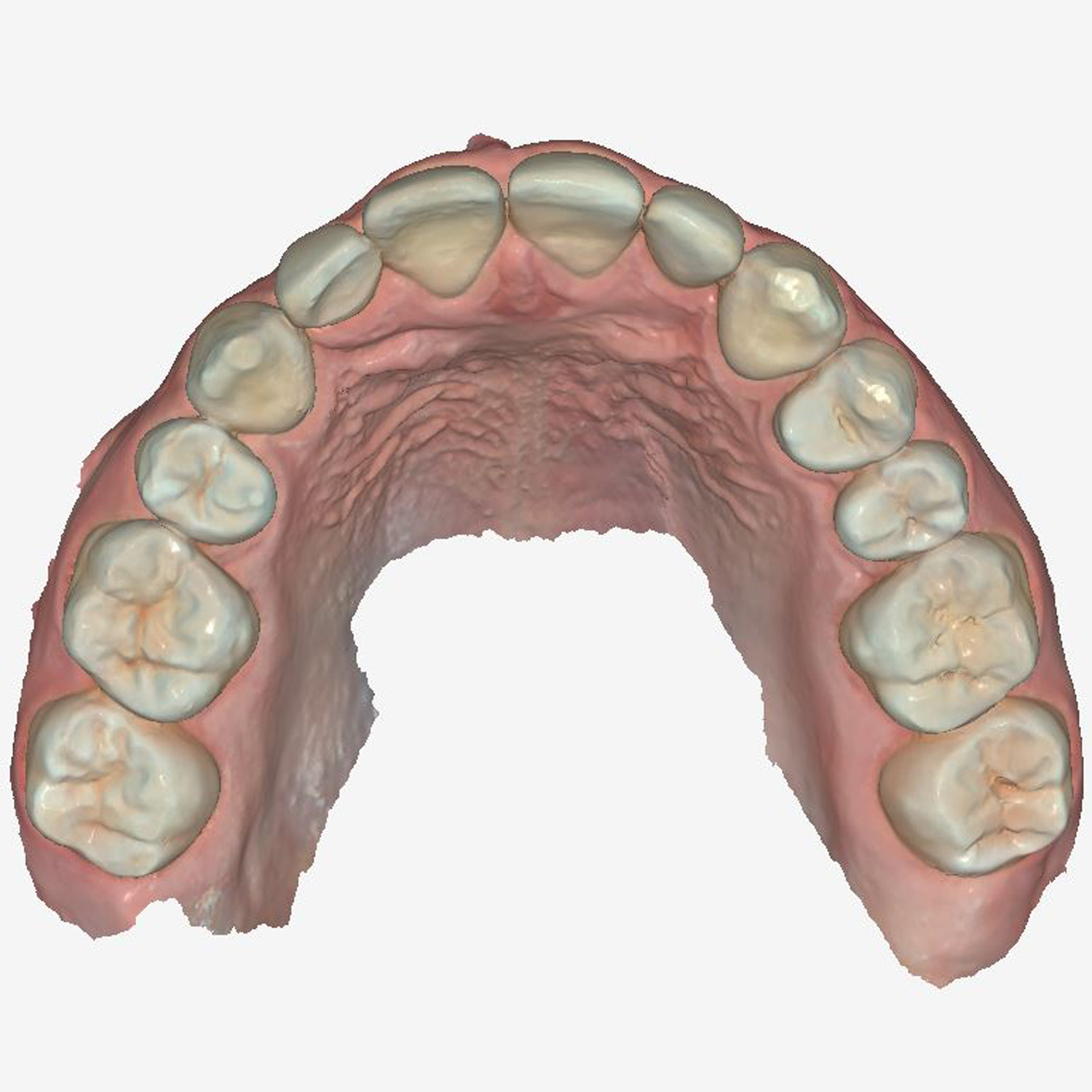 dientes 8 scanner